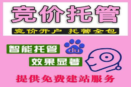竞价排名与自然排名的对比案例